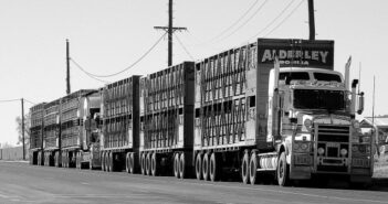 Schwer-Lkw: Gibt es auch Vorteile?