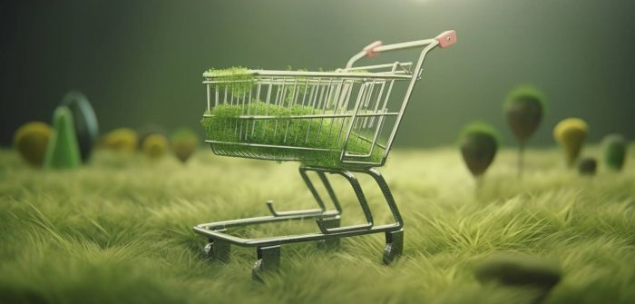 Nachhaltiges Einkaufserlebnis: nShift Checkout revolutioniert die Lieferung für (Foto: AdobeStock - Haris 586371629)