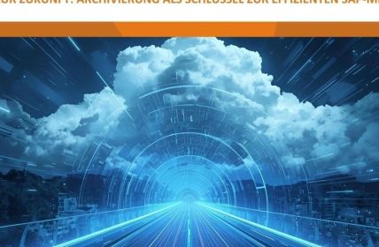 Strategische SAP-Datenarchivierung optimiert Performance und senkt Betriebskosten vor (Foto: entplexit GmbH)